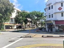 Blk 78 Tiong Bahru Estate (Bukit Merah), HDB 3 Rooms #614682631